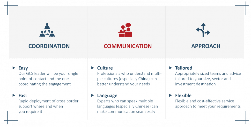 v2 Our international Experience infog